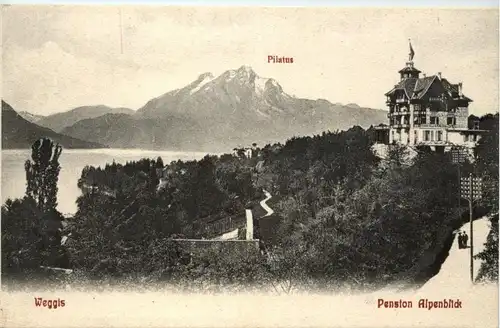 Weggis - Pension Alpenblick -264788