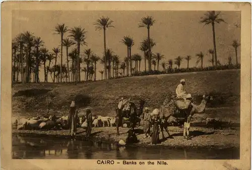 Cairo - Banks on the Nile -283070