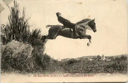 Saumur - Saut d un broock au Breil - Horse -282262