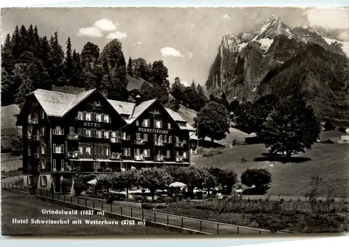 Grindelwald - Hotel Schweizerhof -276644