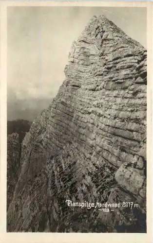 Gesäuse/Steiermark - Gesäuse, Planspitze Nordwand -315146