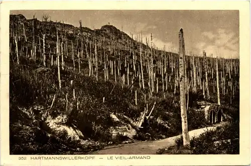 Hartmannswillerkopf - Le Vieil Armand -282940