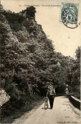 Vallee du Cousin - Route de Pontaubert -282772