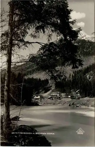 Gesäuse/Steiermark - Gesäuse, Gstatterboden mit Buchstein -315108