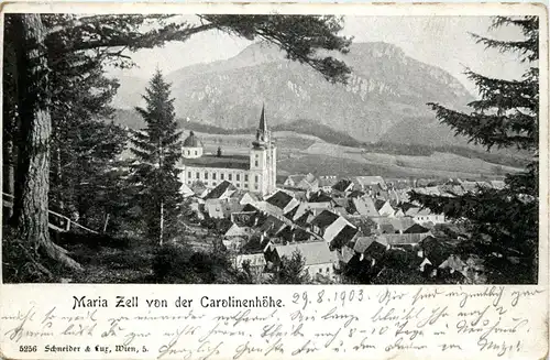 Mariazell/Steiermark - Mariazell, von der Carolinenhöhe -316324