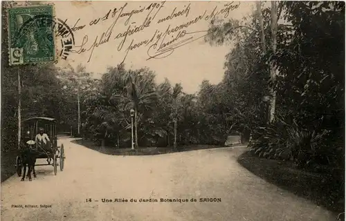 Saigon - Jardin Botanique -242096