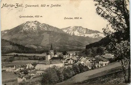 Mariazell/Steiermark - Mariazell, mit Gemeindealpe und Oetscher -316506