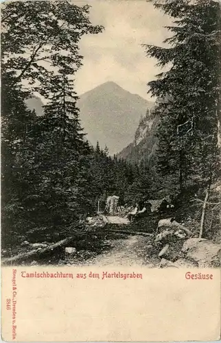 Gesäuse, Camischbachturm aus dem Hartelsgraben -315258