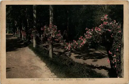 Sevilla - Parque Maria Luisa -242296
