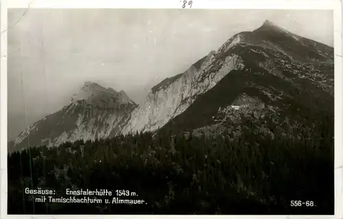 Admont und Gesäuse/Steiermark - Gesäuse: Ennstalerhütte mit Tamischbachturm u. Almmauer -316626