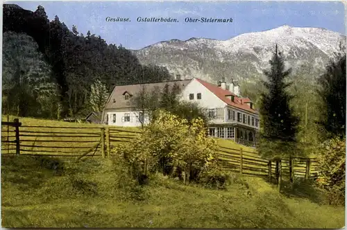 Gesäuse/Steiermark - Gesäuse, Gstatterboden -315848