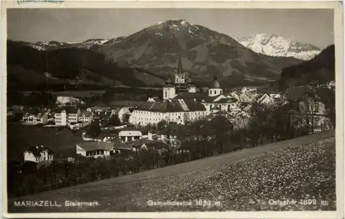 Mariazell/Steiermark - Mariazell, Gemeindealpe u. Oetscher -316384