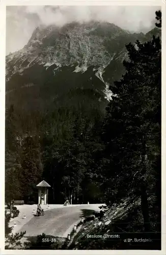 Admont und Gesäuse/Steiermark - Gesäuse: Strasse und Gr. Buchstein -316628