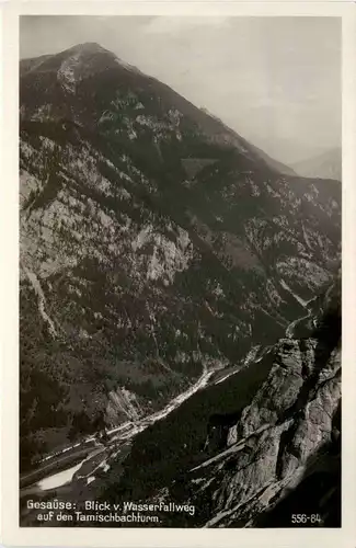 Gesäuse: Blick vom Wasserfallweg auf den Tamischbachturm -316994