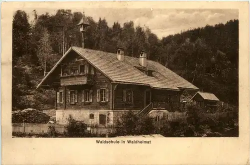 Waldschule in Waldheimat -283994