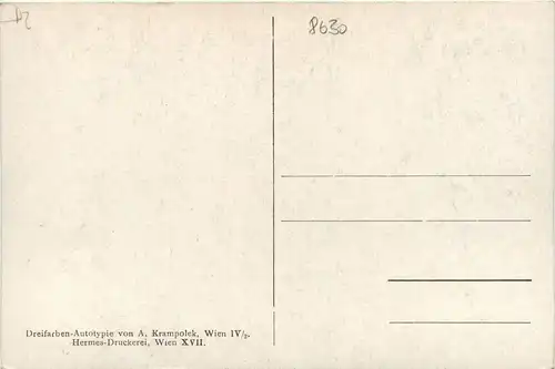 Mariazell/Steiermark - Mariazell, Tirolerkreuz in der Walster -317966