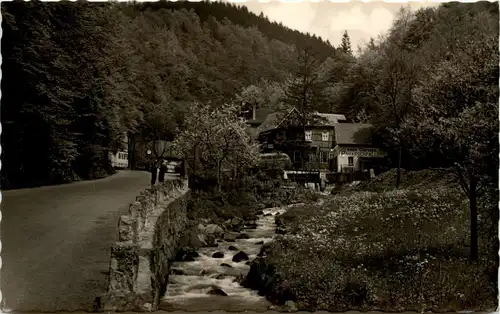 Gasthaus zum Trusetaler Wasserfall -244952