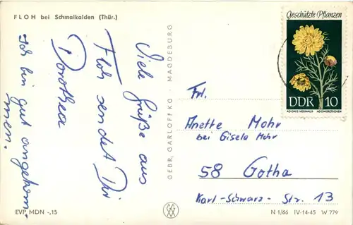 Gruss aus Floh -245228