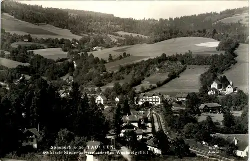 Sommerfrische Tauchen bei Mönichkirchen a. Wechsel, -311944