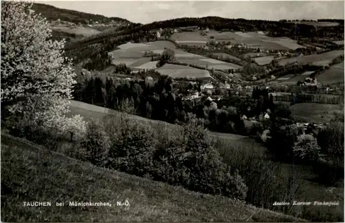 Sommerfrische Tauchen bei Mönichkirchen a. Wechsel, div.Bilder -311964
