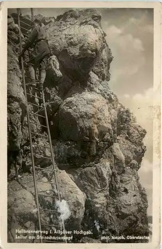 Oberstdorf, Heilbronnerweg i.Allgäuer Hochgeb. Leiter am Steinschartenkopf -320014