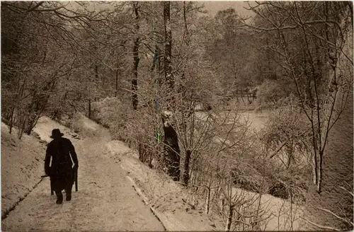 Hamburg/diverse Stadtteile - Hamburg, Botanischer Garten im Winter -319086