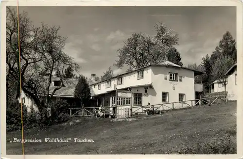 Tauchen bri Mönichkirchen, Bergpension Waldhäusl -313124