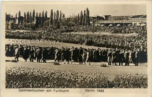 Berlin-Charlottenburg - Sommerblumen am Funkturm Berlin 1943 -320410