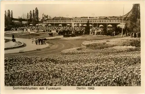 Berlin-Charlottenburg - Sommerblumen am Funkturm 1943 -320416