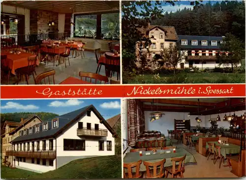 Gaststätte Nickelsmühle - Schollbrunn im Spessart -284738