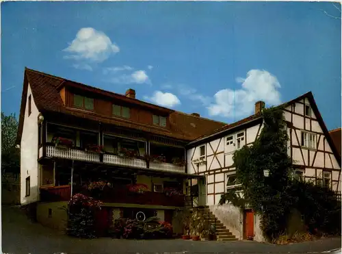Wildensee Spessart - Eschau - Gaststätte Dyroff -284818