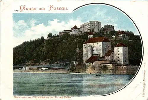 Passau/Bayern - Niederhaus am Zusammenfluss der Ilz und Donau -320768