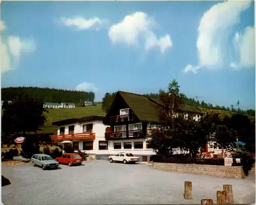 Willingen - Restaurant Haus am Hoppern -285358