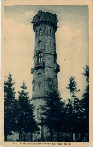 Aussichtsturm auf dem Hohen Schneeberg -284430