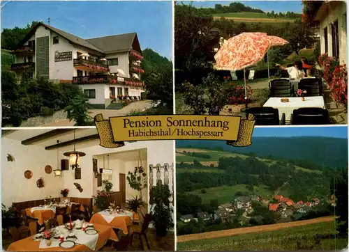 Frammersbach - Habichsthal - Pension Sonnenhang -284878