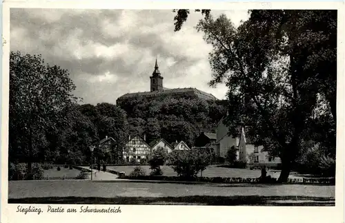 Siegburg - Partie am Schwanenteich -285218