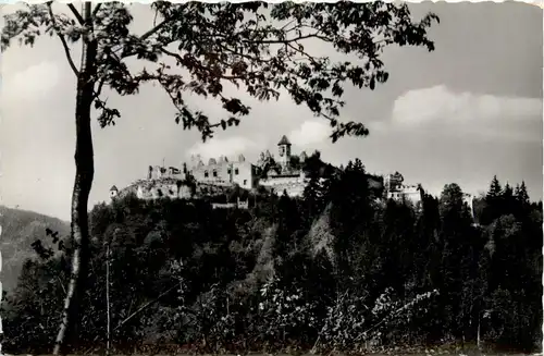 Villach/Kärnten und Umgebung - Ruine landskron -321616