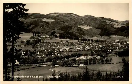 Steiermark/div.Orte und Umgebung - Sommerfrische Kindberg i. Mürztale -322806