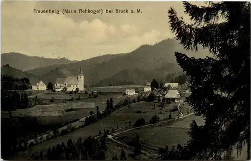 Steiermark/div. Orte und Umgebung - Frauenberg bei Bruck a. M. -323136