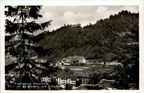 Kapfenberg, Blick auf Hauptschule und Schlossberg -323156