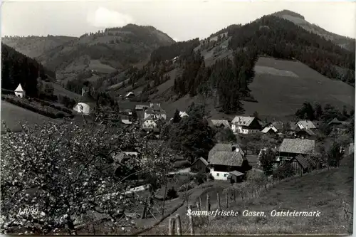 Hochlantsch/Steiermark und Umgebung - Sommerfrische Gasen bei Birkfeld -322446