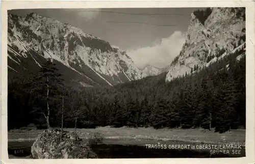 Steiermark/div. Orte und Umgebung - Tragöss-Oberort, Grüner See -322570