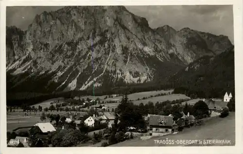 Steiermark/div. Orte und Umgebung - Tragöss-Oberort, -322756