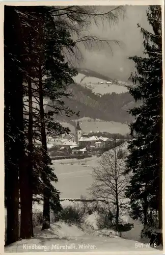 Steiermark/div. Orte und Umgebung - Kindberg, Mürztal im Winter -322778