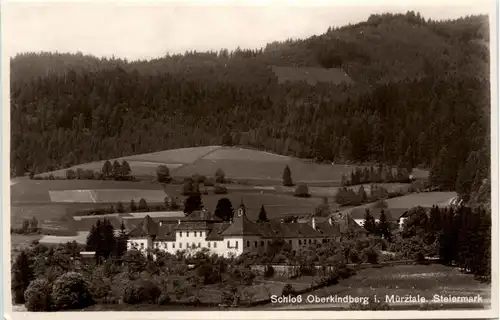 Steiermark/div. Orte und Umgebung - Schloss Ober - Kindberg i. Mürztal, -322712