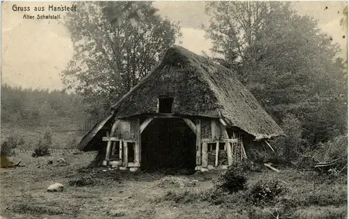 Gruss aus Hanstedt - Alter Schafstall -236466