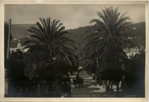 Nervi - Viale Delle Palme -286160