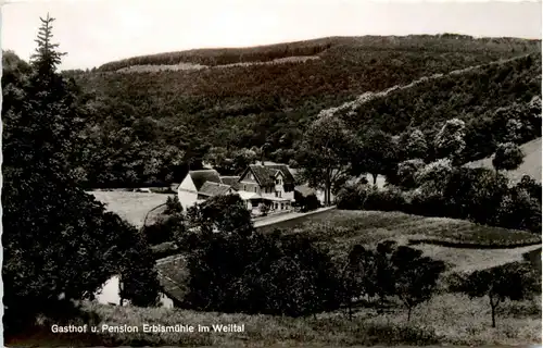 Neuweilnau im Taunus - Gasthof Erbismühle -285968