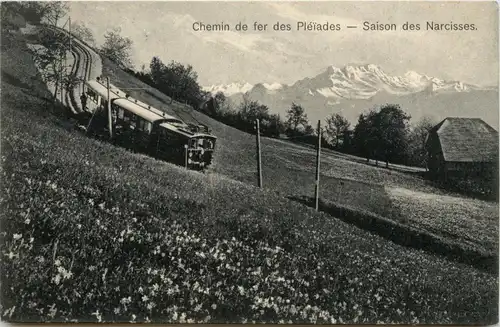 Chemin de fer des Pleiades - Saison des Narcisses -232782