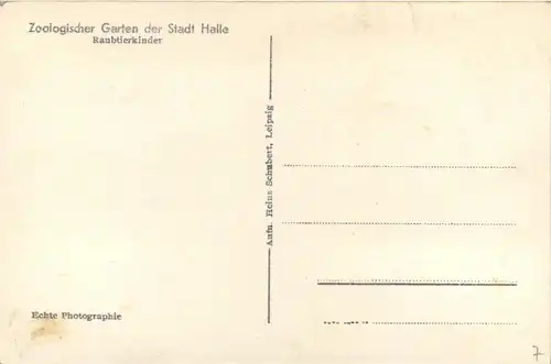 Zoologischer Garten der Stadt Halle - Raubtierkinder - Tiger -286844